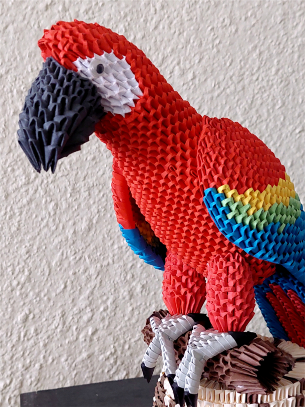 papoušek.jpg